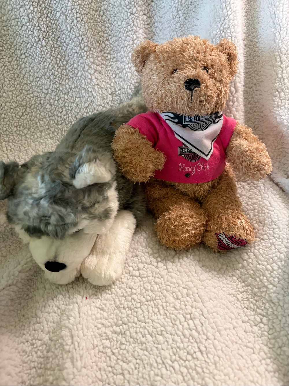 Bundle of 2 Harley Davidson plush animals (bear & husky)